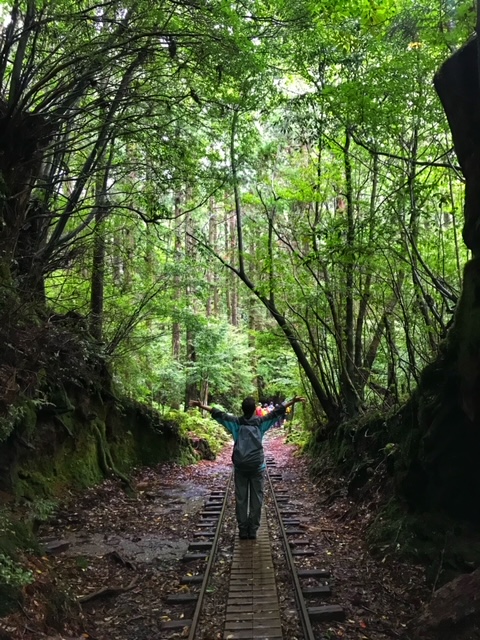 トロッコ道の写真